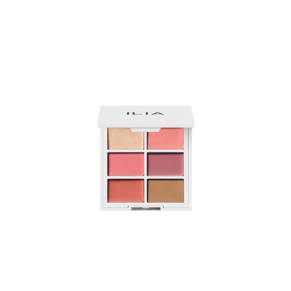 Multi-Stick Face Palette